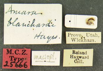 Media type: image;   Entomology 25666 Aspect: labels